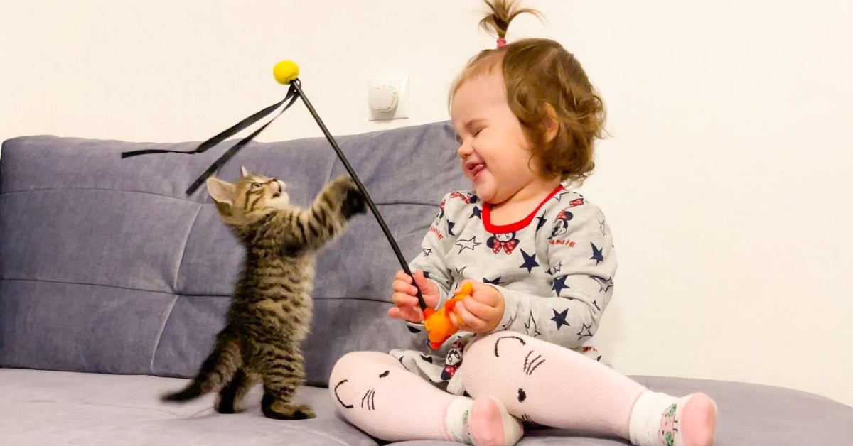 Gattino e bambina giocano insieme e si divertono moltissimo (VIDEO)