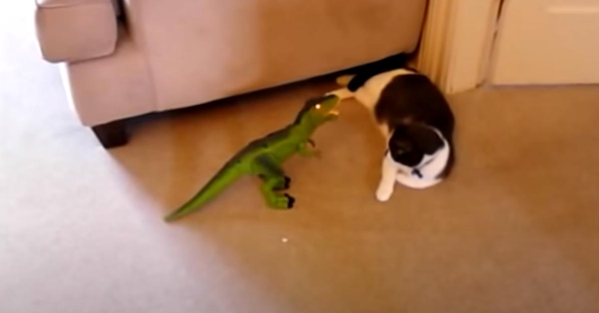 Gatto contro un T-Rex