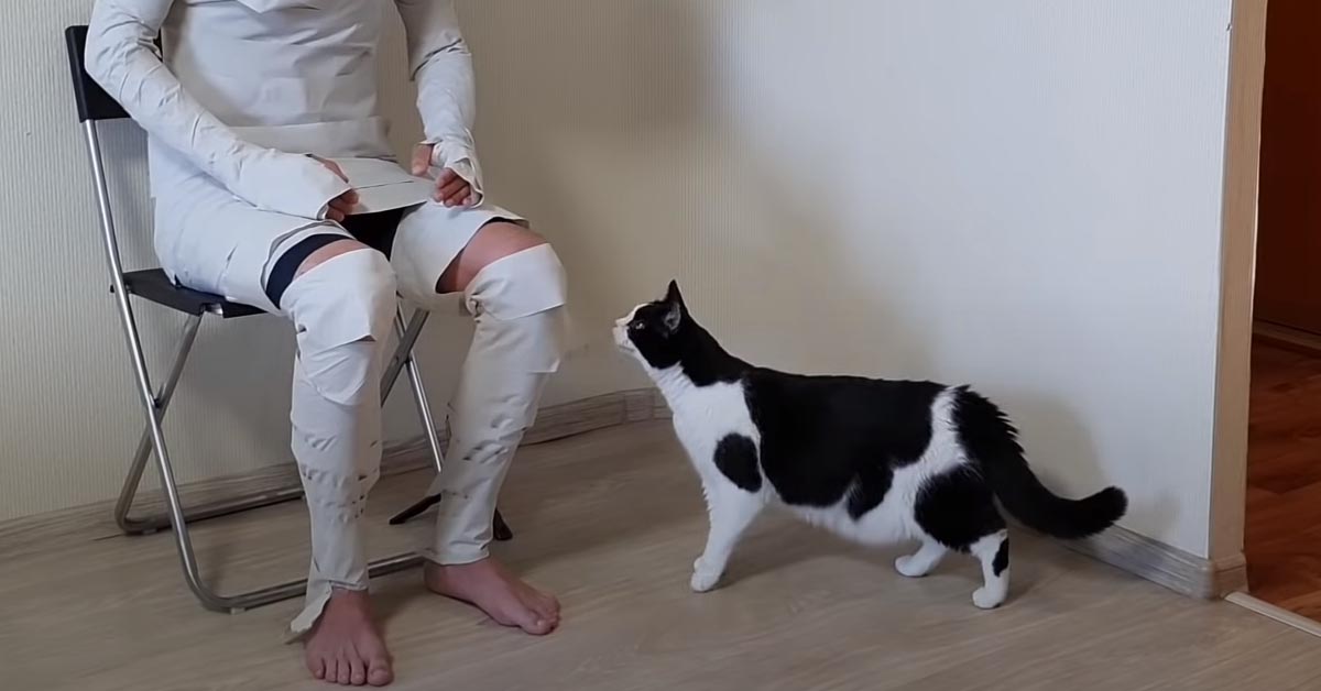 Il gattino Pusic affronta lo scherzo del padrone che si è travestito da mummia (video)