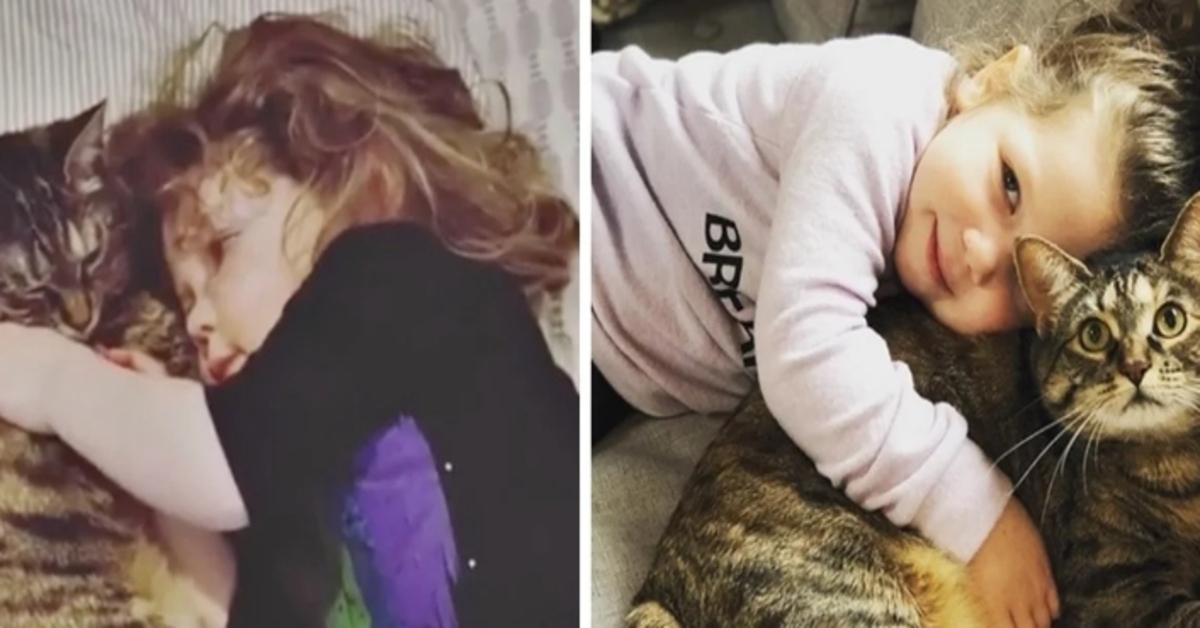 La storia dell’amicizia fra Joy, un gattino soriano e una bambina di nome Bree (VIDEO)