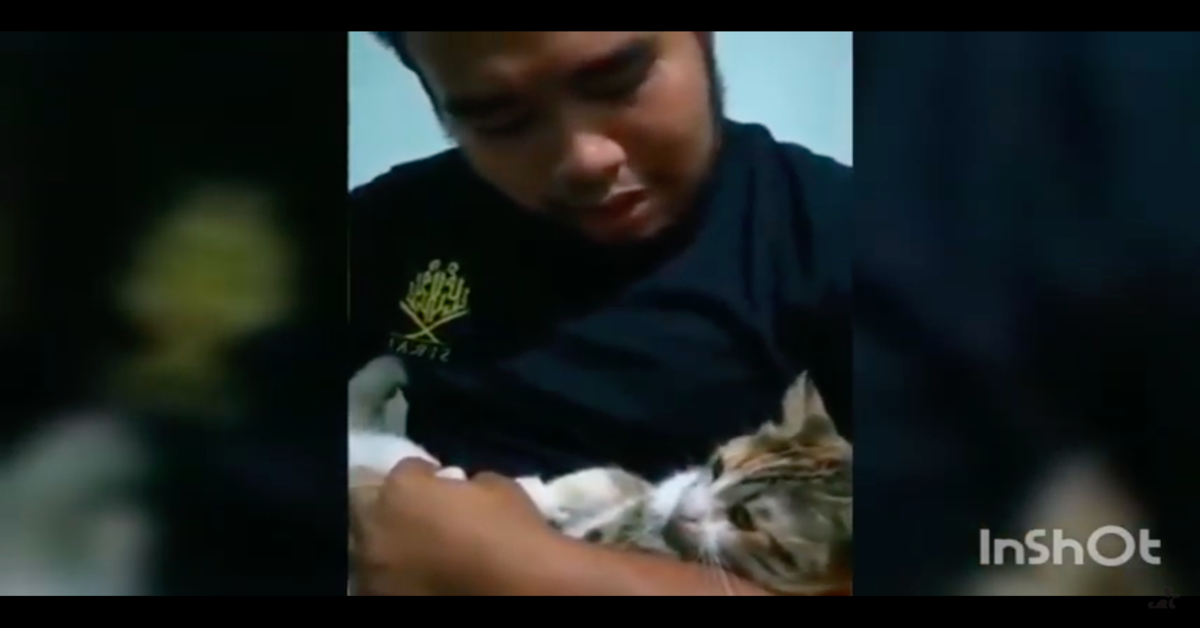 Un ragazzo insegna al suo gattino a dire “mamma” e incredibilmente lui ci riesce (VIDEO)