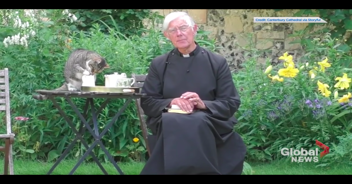 Un sacerdote predica online mentre il gattino dietro di lui si serve tranquillamente del latte (VIDEO)