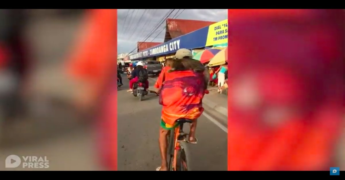 gatto in bicicletta sulle spalle di un anziano