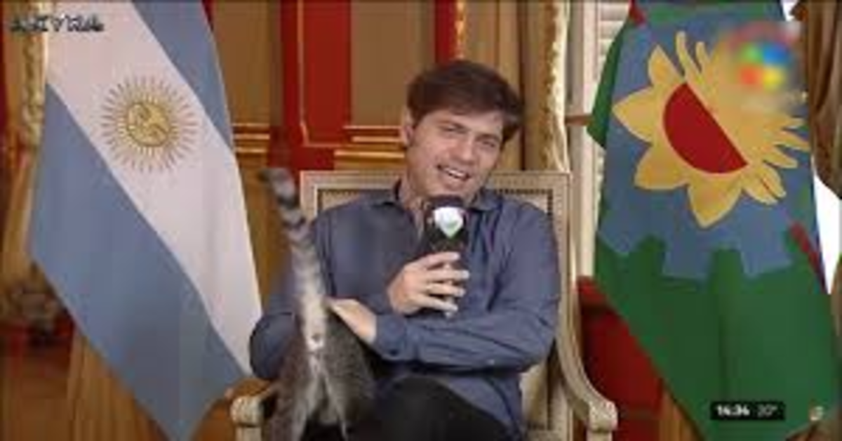 Una gattina interrompe la diretta l’intervista in diretta del suo padrone, il Governatore di Buenos Aires Axel Kicillof  (VIDEO)