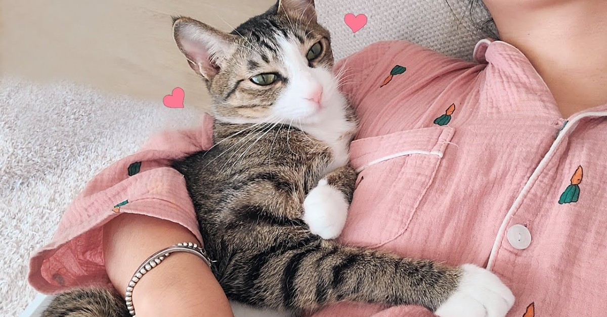 Un gattino resta sempre accanto alla sua dolce mamma umana (VIDEO)