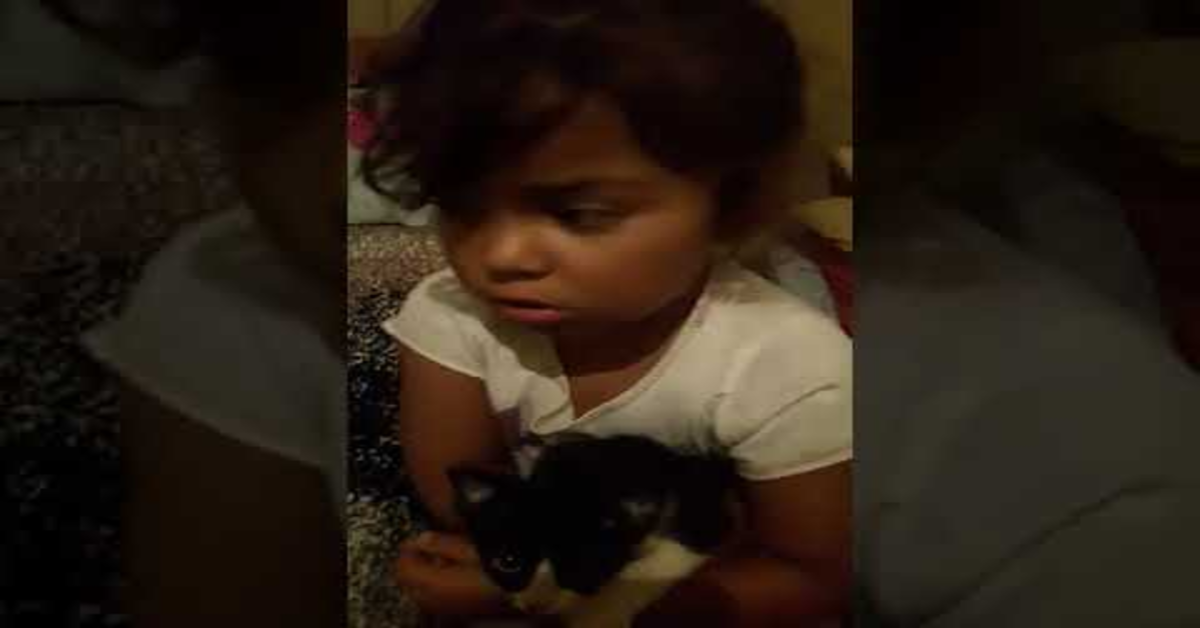 La bimba nasconde un gattino in casa, sua madre la scopre e lei le da una curiosa spiegazione (VIDEO)