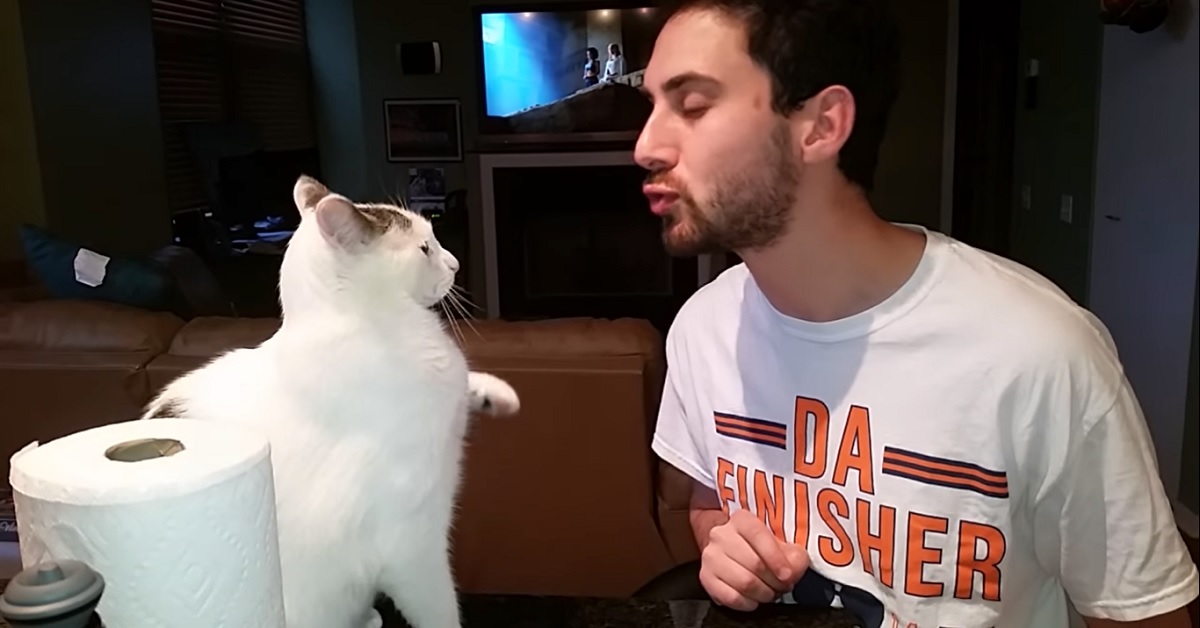 Il gattino celtico non apprezza i baci del papà, il video è incredibilmente simpatico