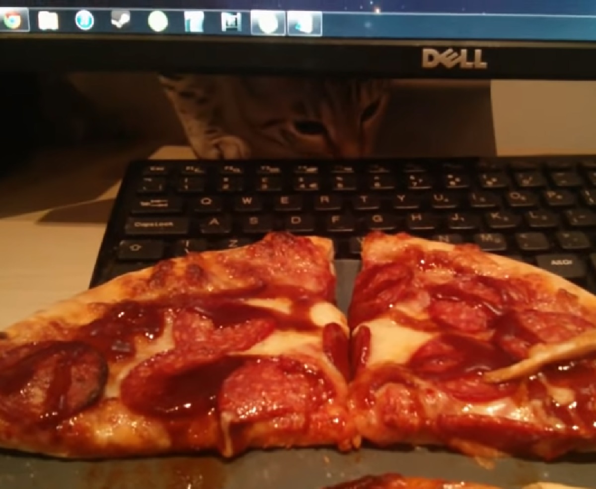 aurora gattina silenziosa amante pizza