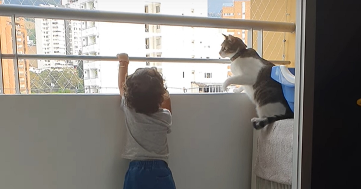 Il gattino è sempre pronto a proteggere il fratellino umano dai pericoli, il video è sbalorditivo