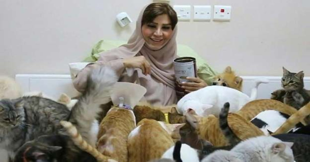 Maryam Al-Balushim, la donna dell’Oman che vive con 500 gattini (VIDEO)