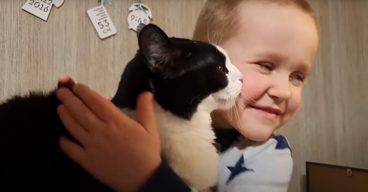 Ogni sera il gattino Pusic augura la buonanotte al suo amico bambino in un modo speciale (video)