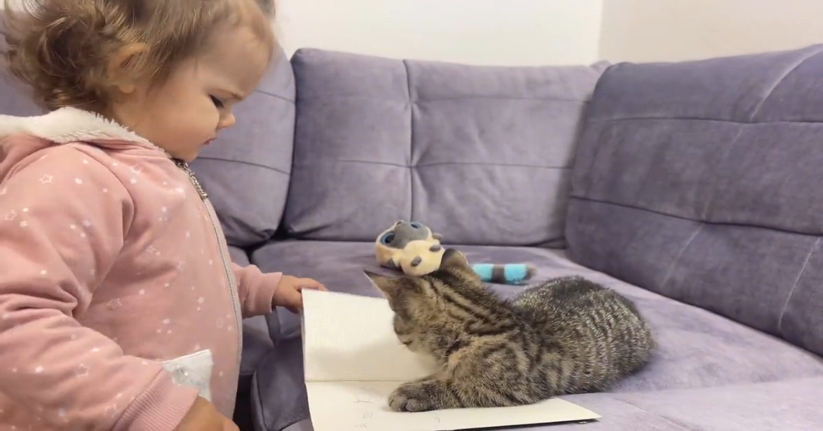 Un gattino invadente gioca noncurante mentre la sorellina disegna (VIDEO)