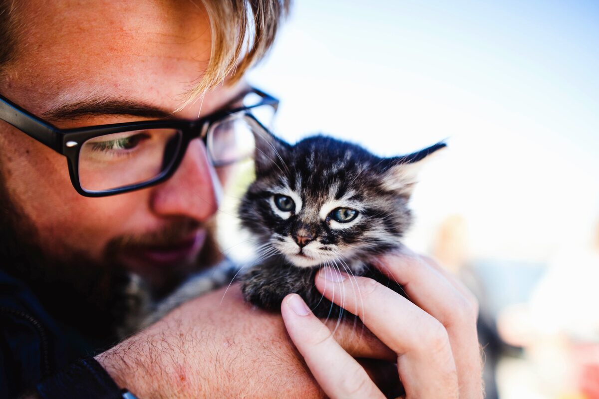 gatto e umano