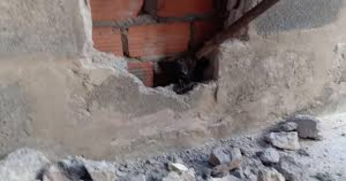 Il salvataggio di un gattino intrappolato dentro un blocco di cemento (VIDEO)