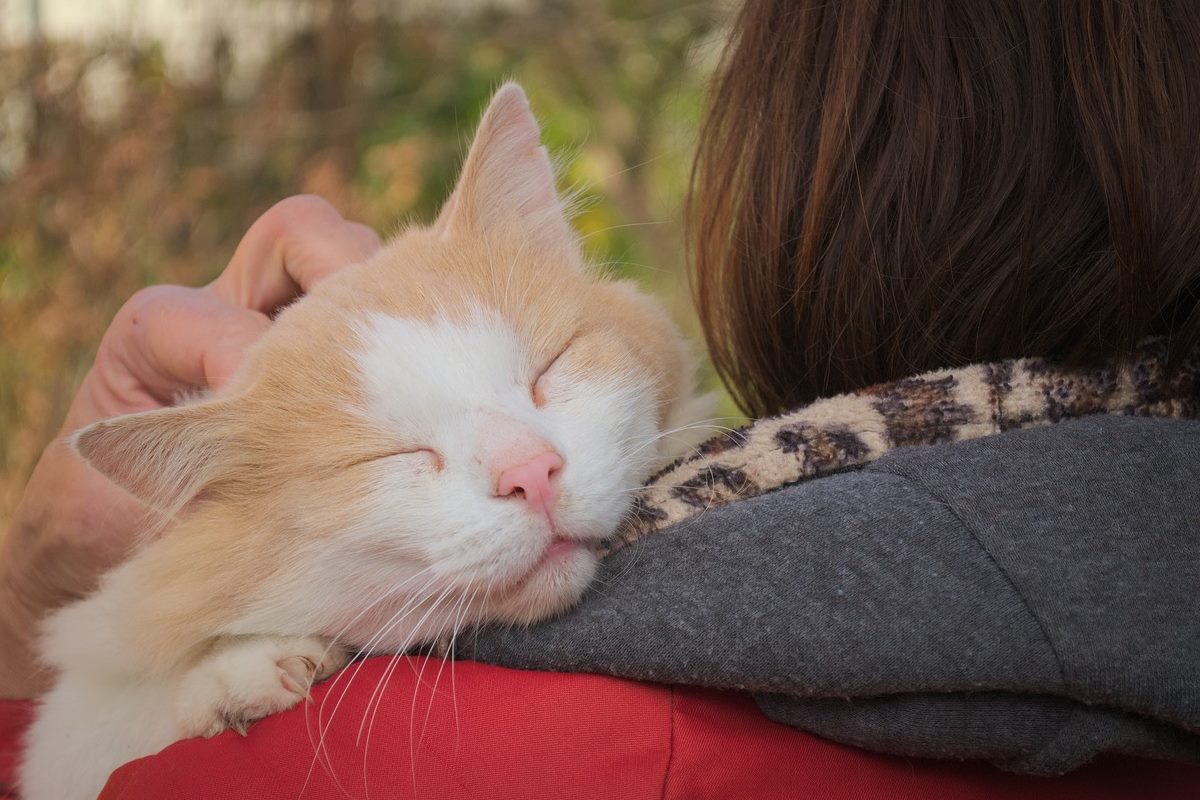 gatto felice di stare in braccio alla sua padrona