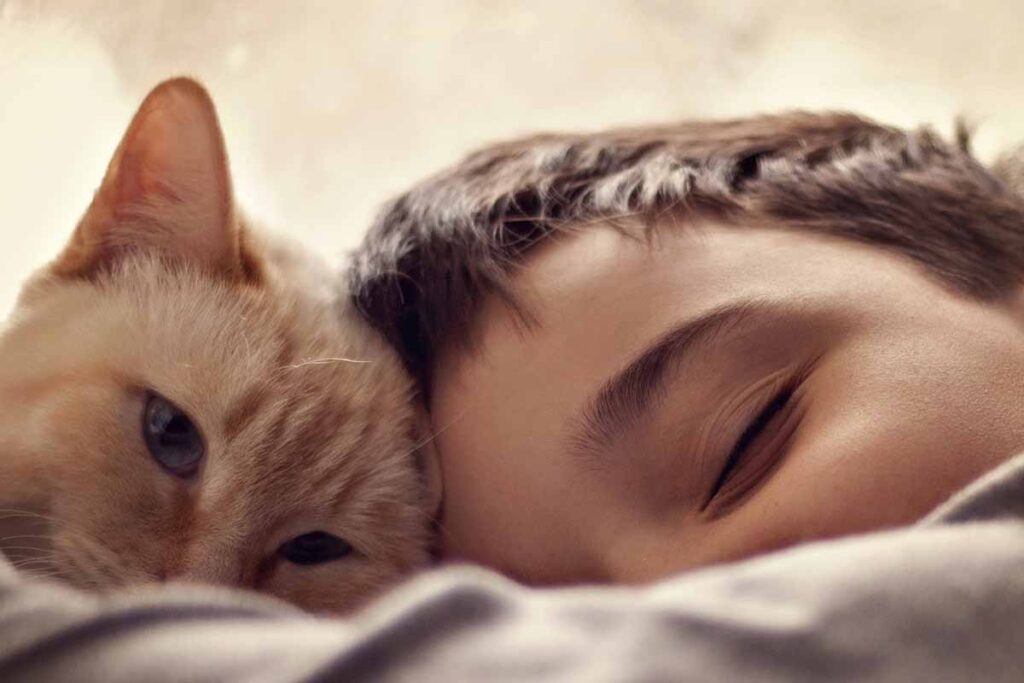 gatto e bambino che dormono insieme