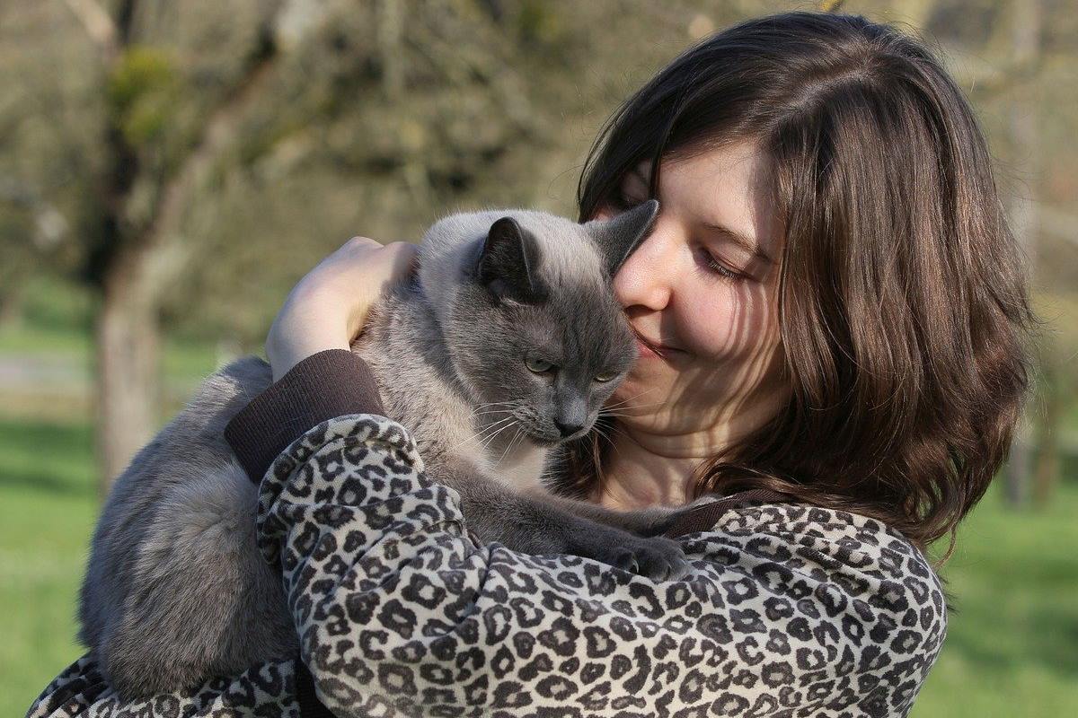 ragazza abbraccia un gatto