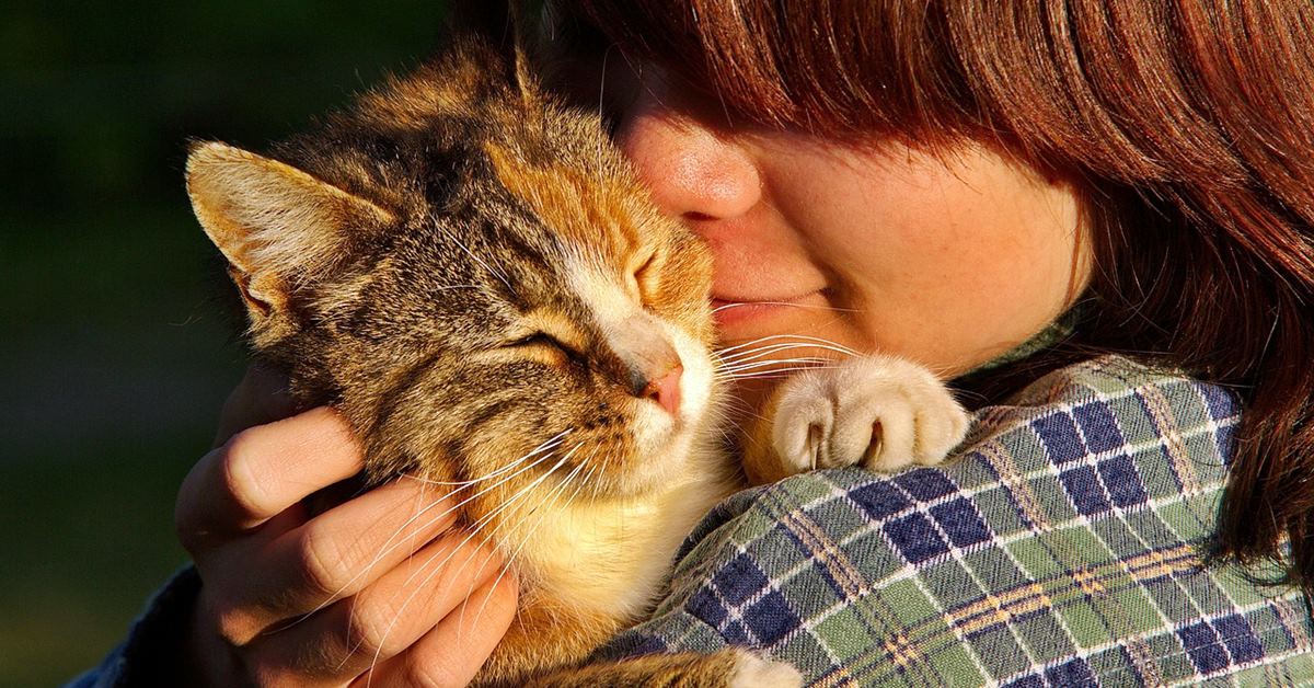 I gatti scelgono il loro padrone o sono indifferenti?