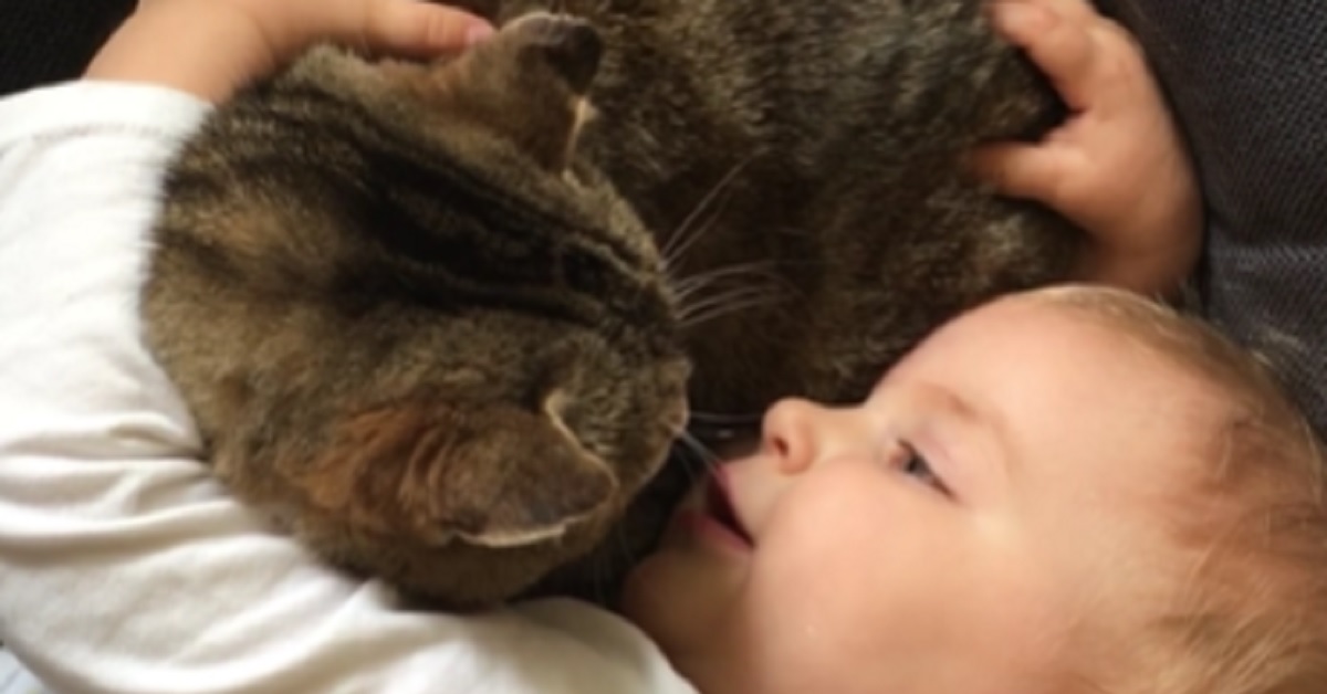 Il gattino malato riceve conforto dalla sorellina, ciò che la bimba fa per lui nel video è emozionante