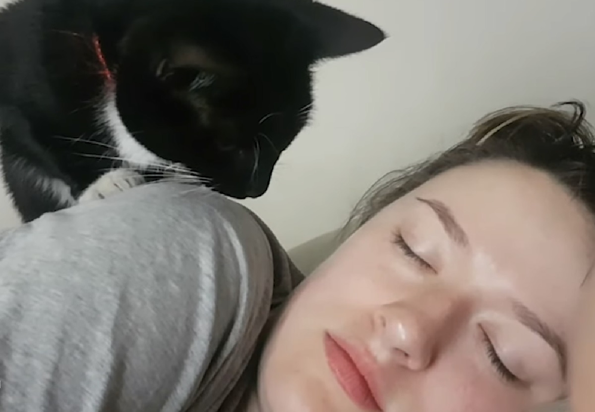 slinky gattina sveglia mamma e papà