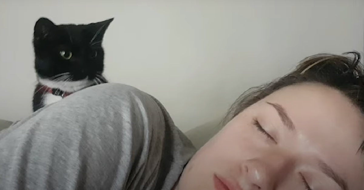La gattina Tuxedo è la sveglia di casa, nel video il suo approccio poco ortodosso