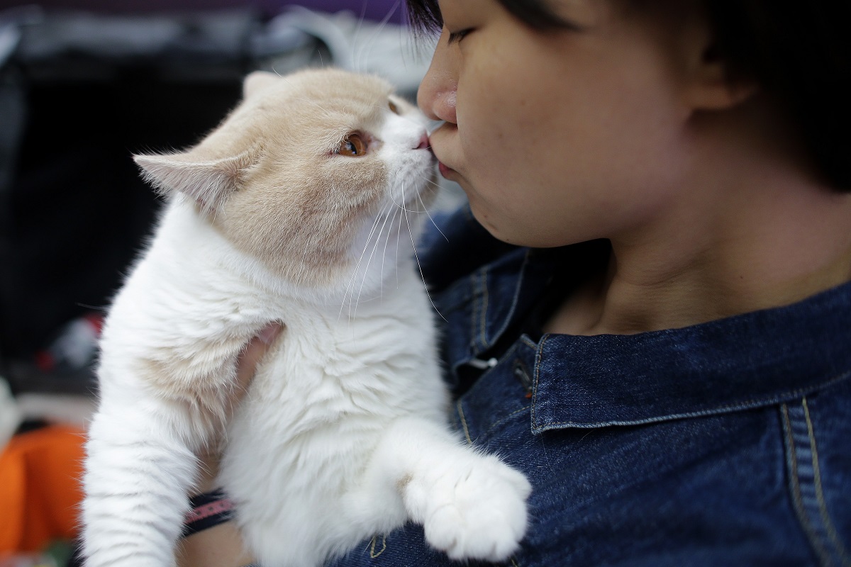 donna bacia un gatto