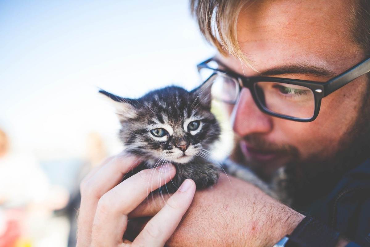 ragazzo con gli occhiali che tiene in mano un gattino