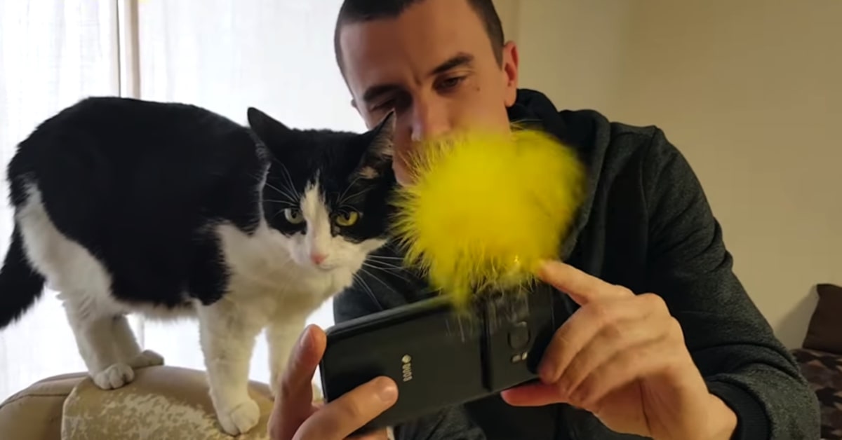 Il gattino Pusic e il suo papà umano ci spiegano come fare selfies perfetti con i nostri mici (VIDEO)