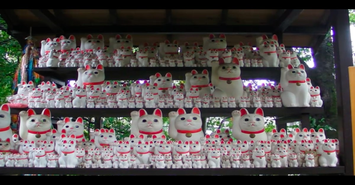 Giappone: il tempio dei gattini della sorte attrae turisti da ogni parte del mondo (VIDEO)