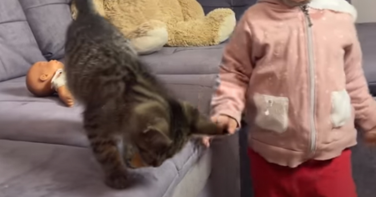 Gattino con una bambina