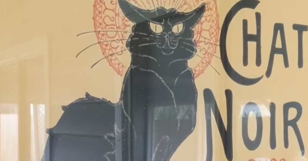 Manifesto chat noir