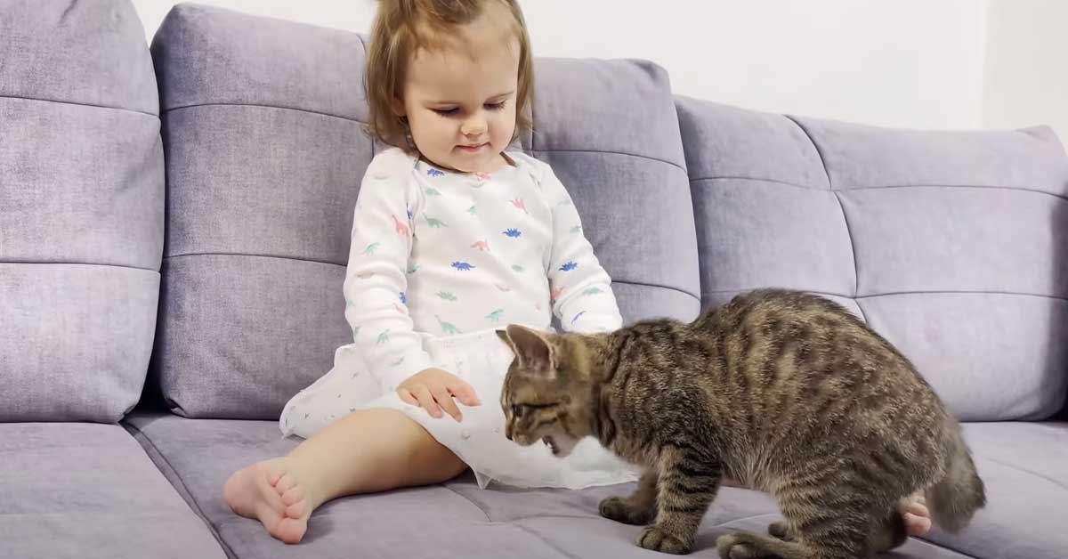 Gatto con una bambina