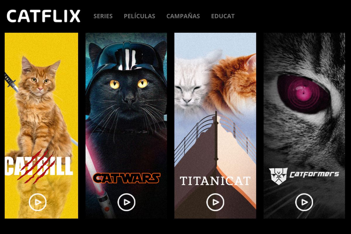 homepage di catflix