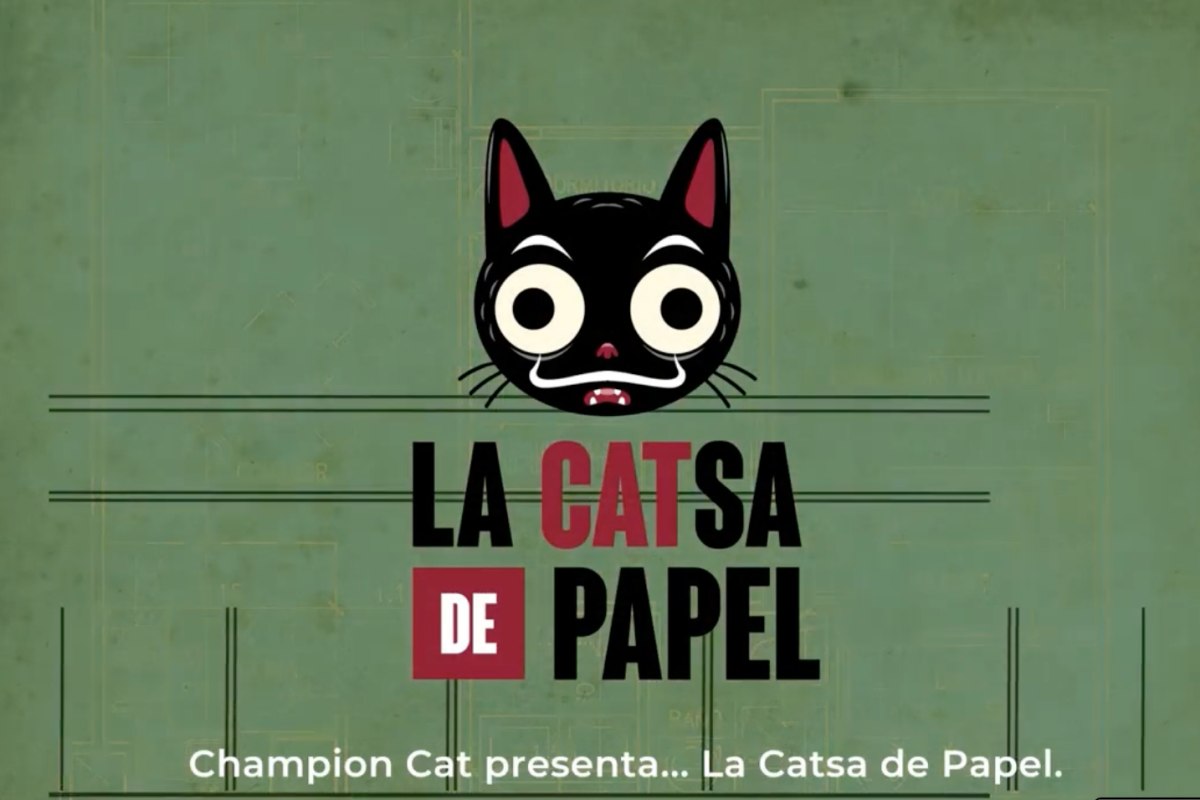 locandina video la casa di carta in versione gatti