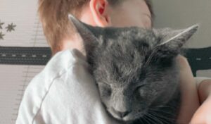 Gatti leali e amorevoli come cani: la prova che sono molto simili