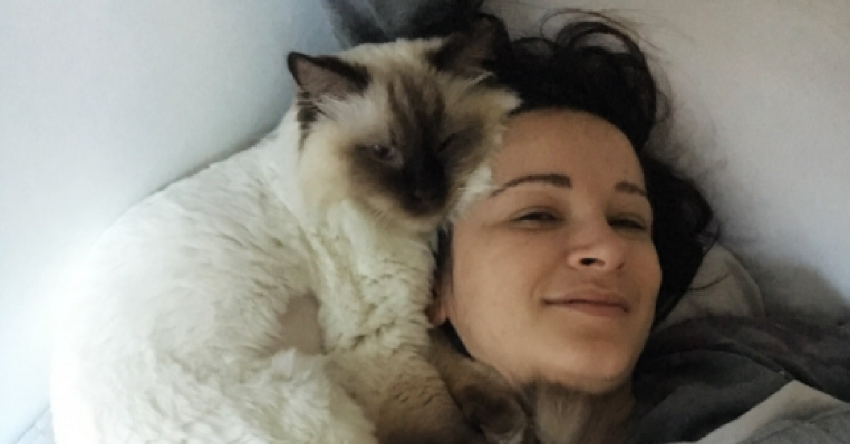 gatti leali-dormire insieme