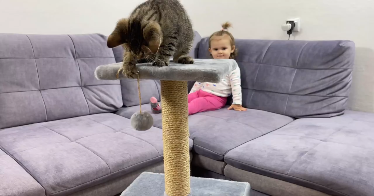 Un gattino si diverte con la sorellina umana (VIDEO)