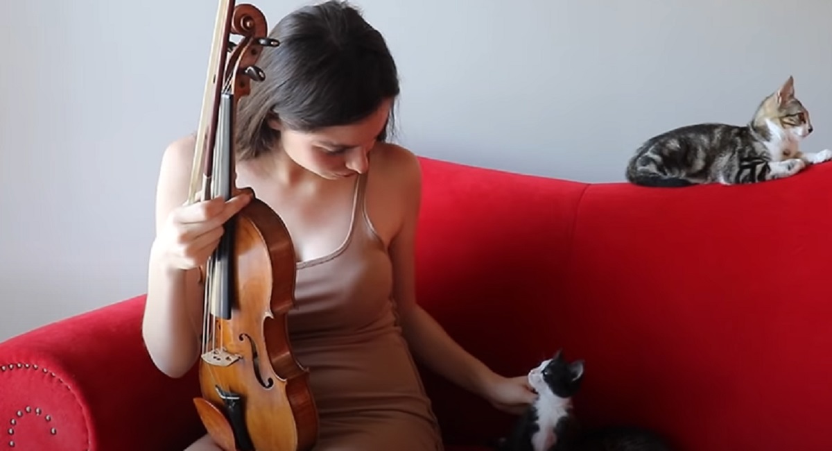 mamma musicista gatti