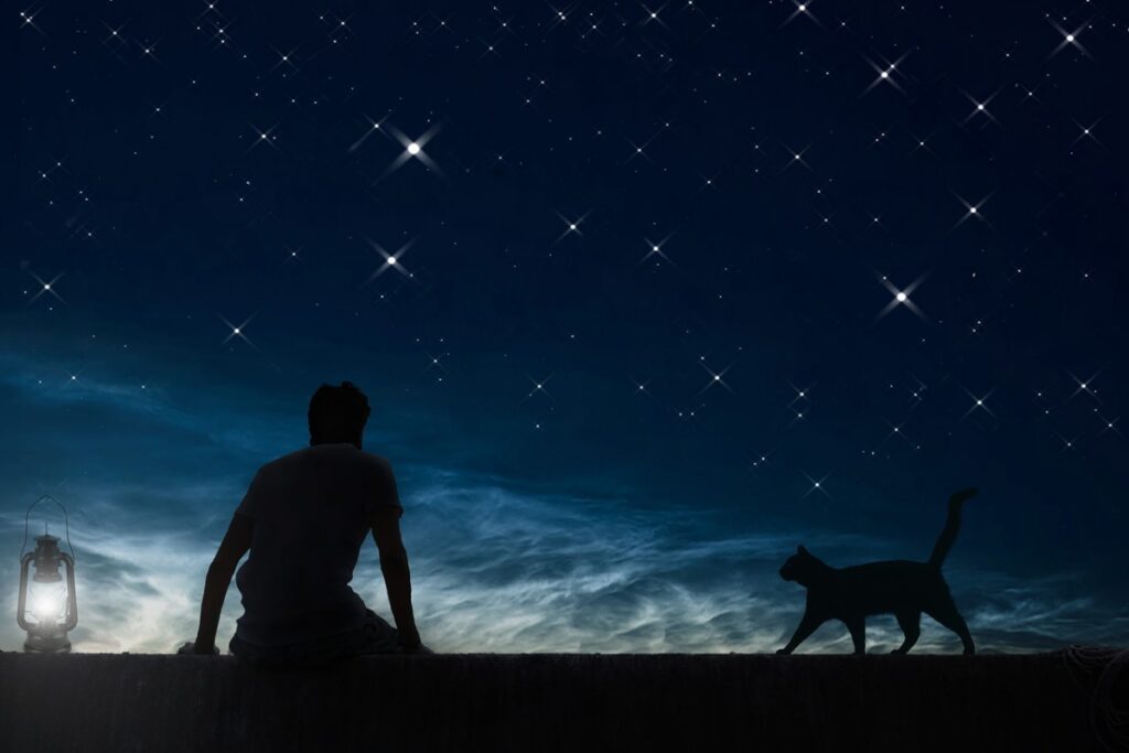 uomo e gatto nella notte