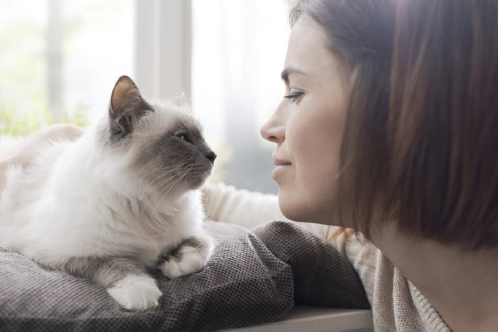 gatto e padrona