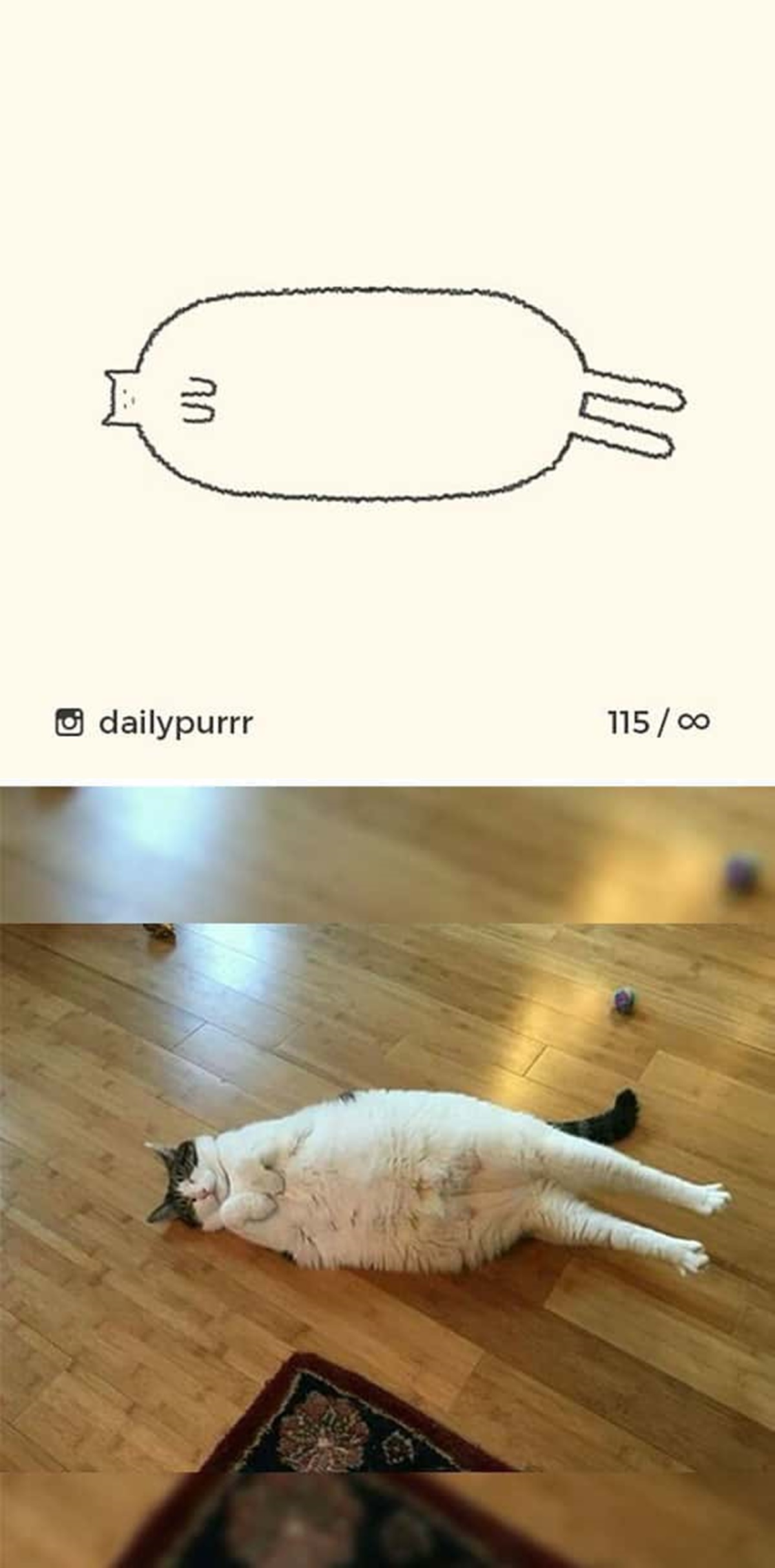 10 disegni di gatti-gatto che si è sdraiato