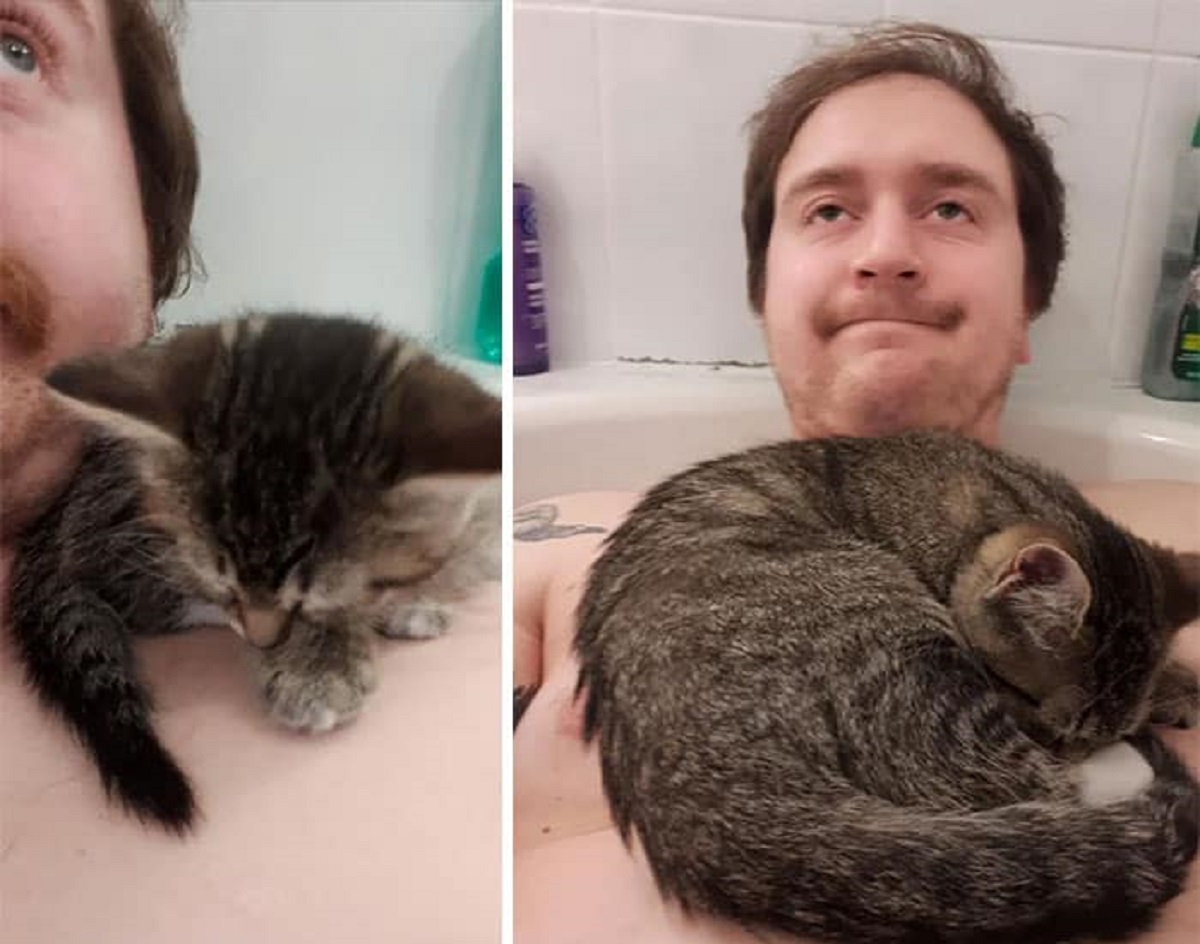 8 foto di gatti-gatto e padrone in vasca
