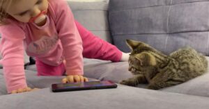 Il gattino e la sua amica bambina adorano guadare i cartoni insieme (video)