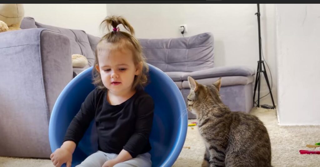 Gattino e bambina che giocano