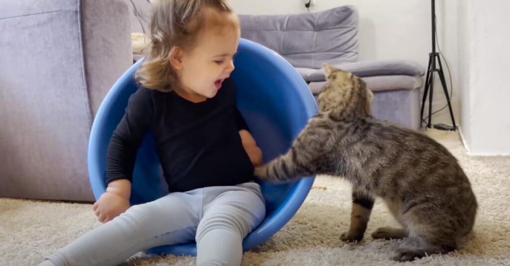 Gatto e bambina che giocano
