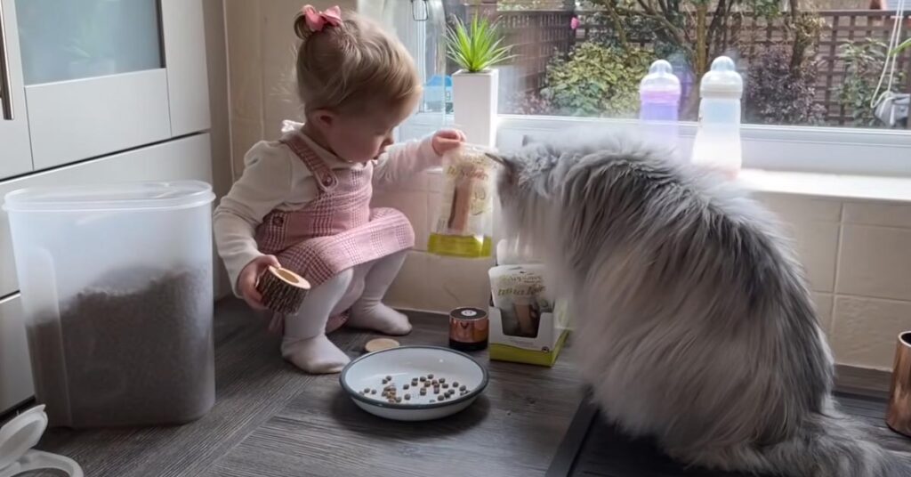 Gatto con una bambina