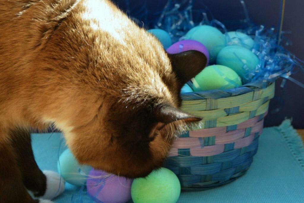 gatto con cestino pieno di uova colorate