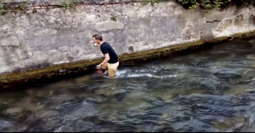 Ragazzo salva un gattino 