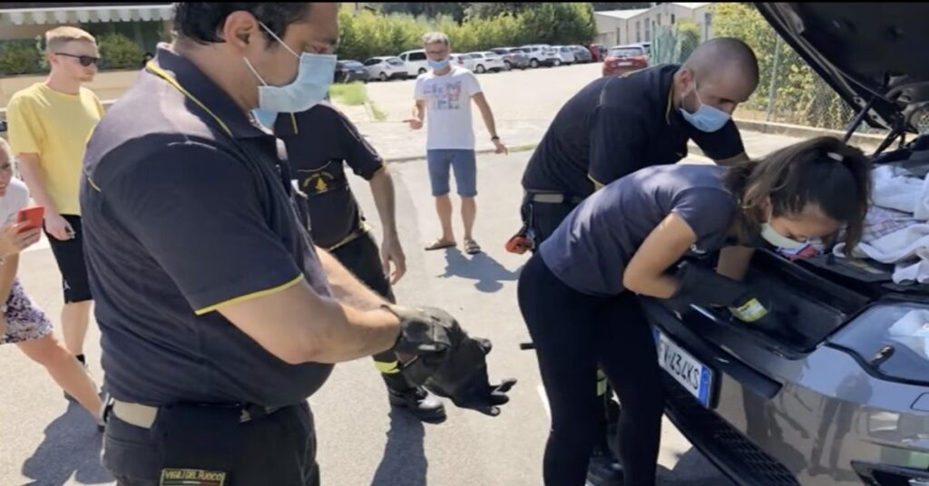 pompieri e volontari mentre salvano il gatto Rover