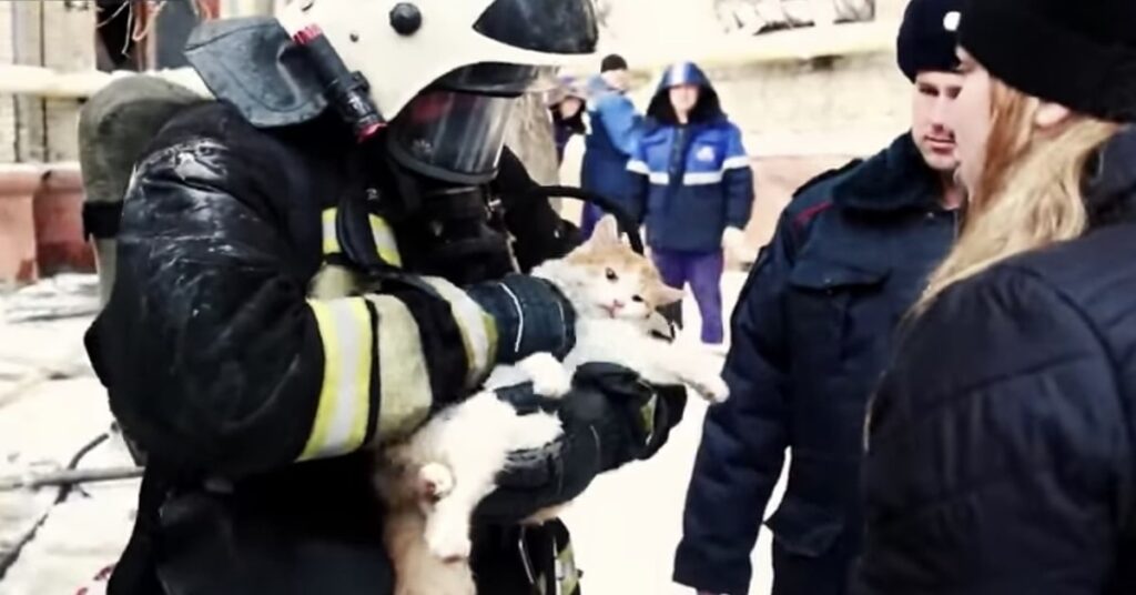 gatto rianimato dai vigili del fuoco russi